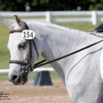 ©SuzanneFischer-1321m-WebUse Dempsey head